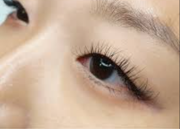 Single-Eyelids