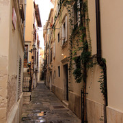 IMG-9819