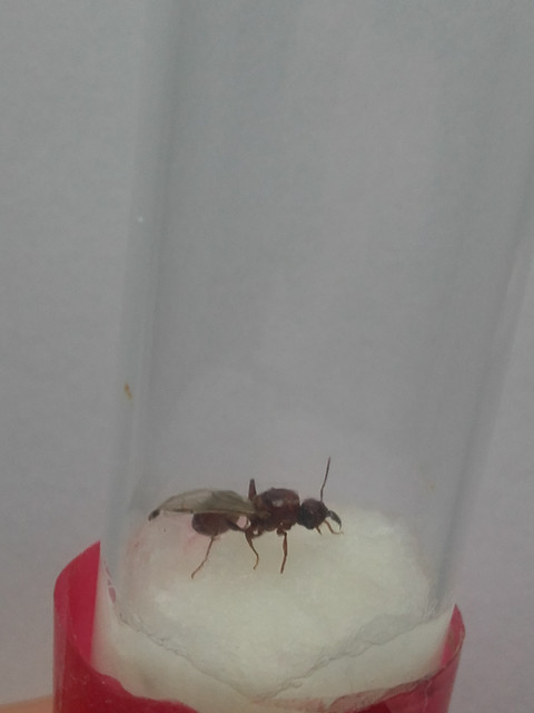 20190113-214417