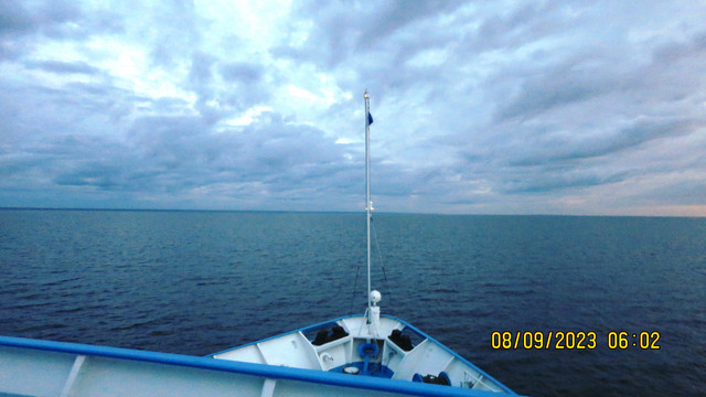 IMG-0594.jpg