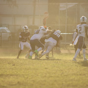 IMG-6547