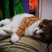 IMG-20220331-213430