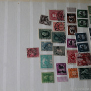 IMG-2010