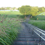 2020-09-08-229