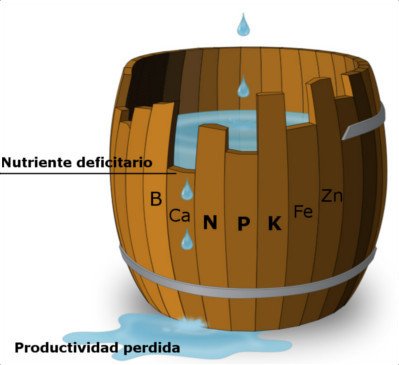 Baril de Liebig Baril de Liebig, loi du minimum de Liebig, élément nutritif déficient, limite de la productivité maximale, Azote, Phosphore, Potassium, Bore, Calcium, Fer, Zinc