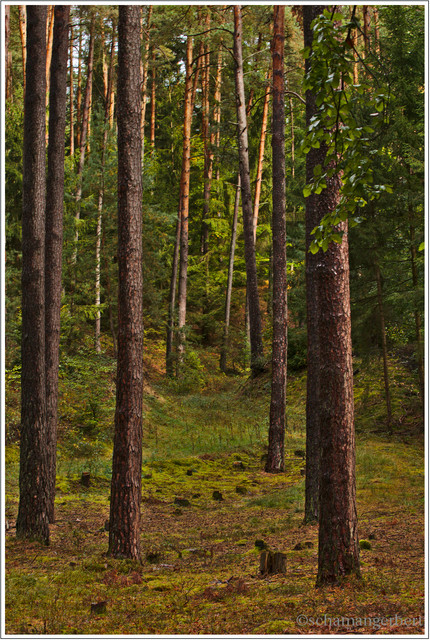 IMG-8847b