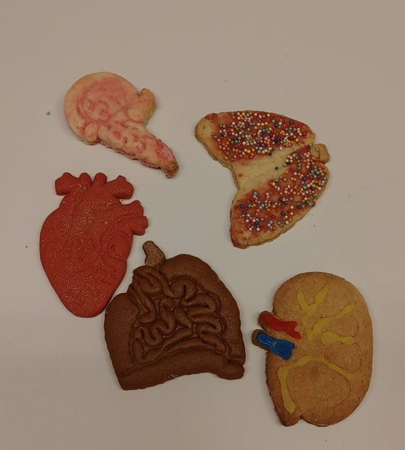 Organkekse