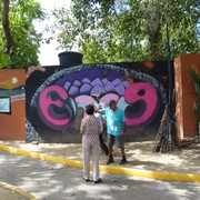 P1100487