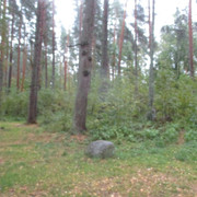 IMG-9575