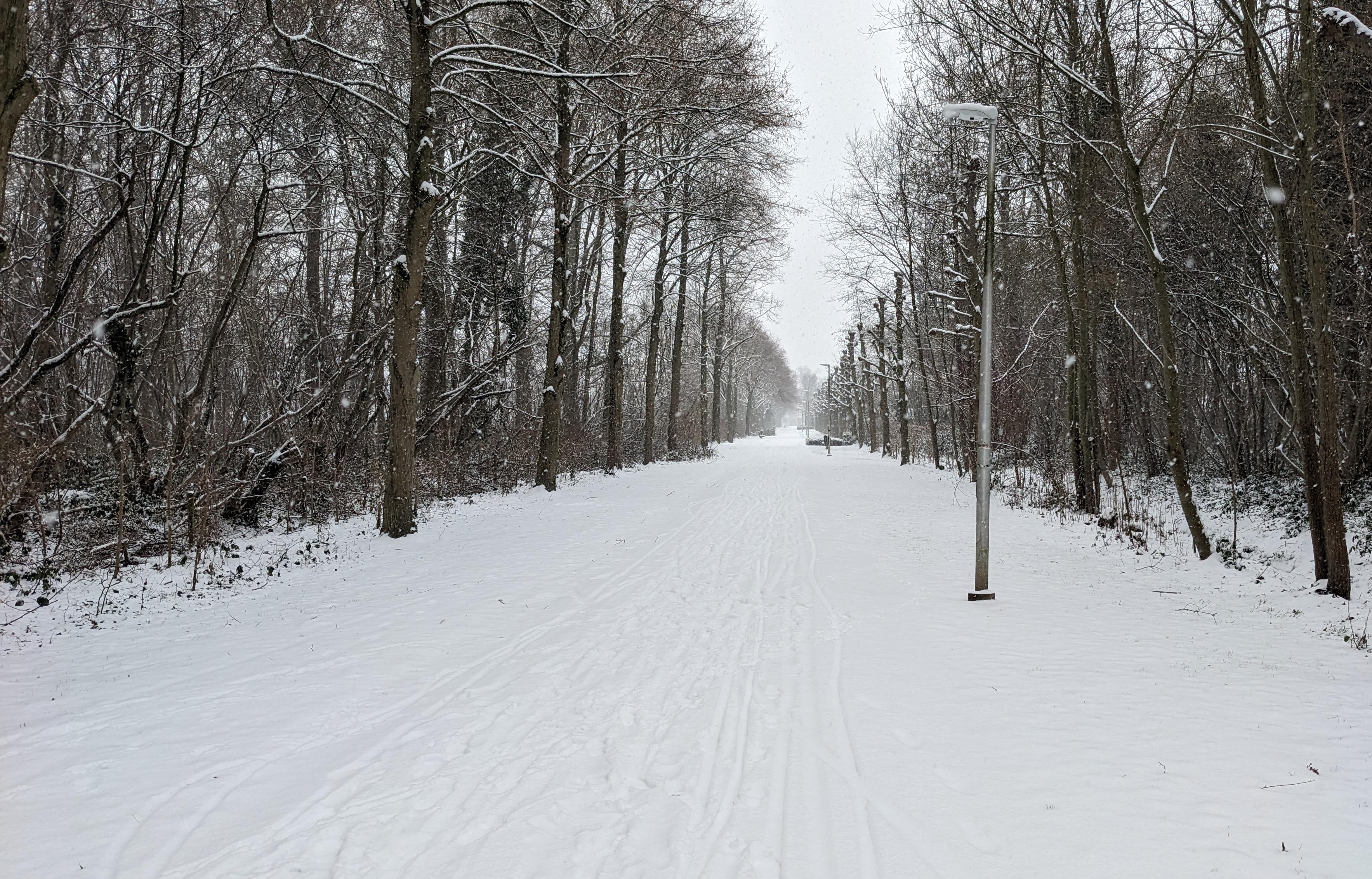 sneeuw-beyond.jpg