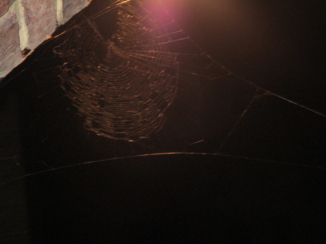 IMG-3637