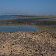 DSCF8356