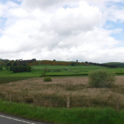 DSCF7931