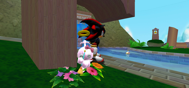 Clean-the-flower.png