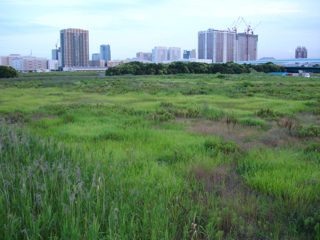 2010-07-01-034