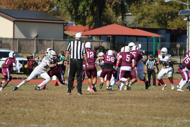 IMG-8075.jpg