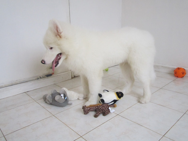 IMG 1466