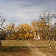 100c0100239m