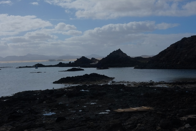 DSCF8655.jpg
