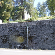 DSCF6193