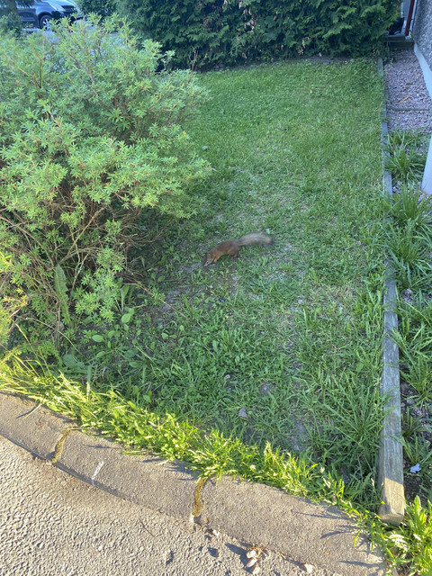 B171-AEDD-B3-EE-472-B-997-A-16-B1-D3-EE2