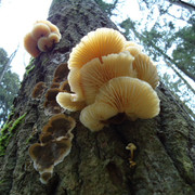 DSC00356