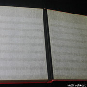 IMG-3300