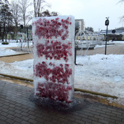 IMG-0324
