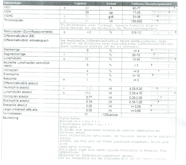 Laborbericht-II