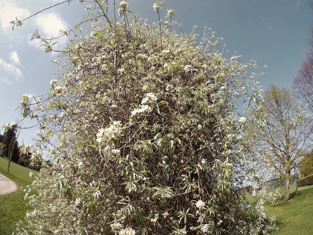RE-Camera