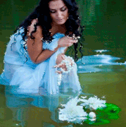 23.gif