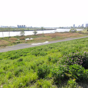 2011-04-24-21