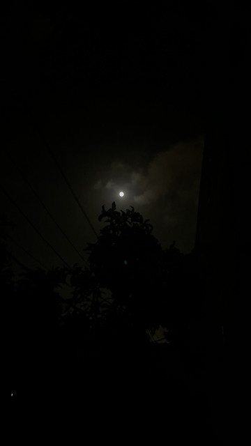 IMG-7607