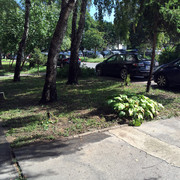 IMG-7260