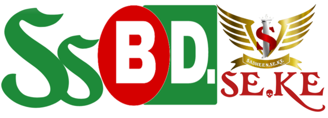 Sadheen logo