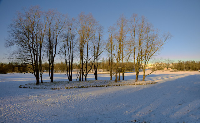 DSCF1196.jpg