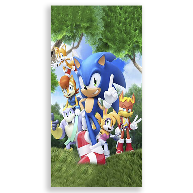 31001586-Sonic