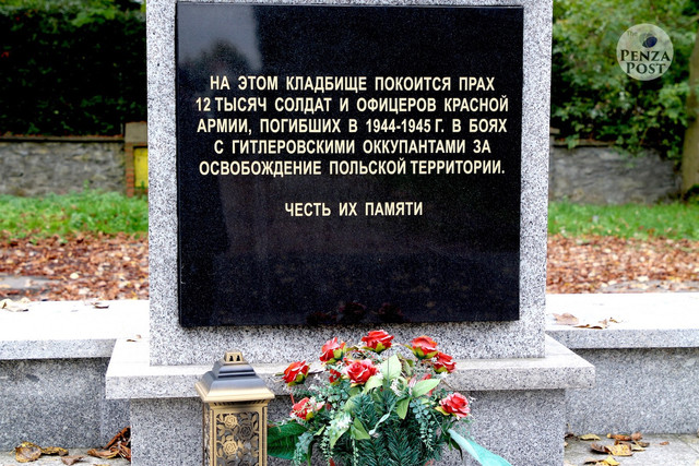 https://i.ibb.co/GLCfL1y/image.jpg