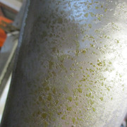 IMG-2849