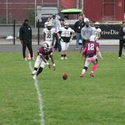 IMG-8131