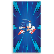 303993-Sonic