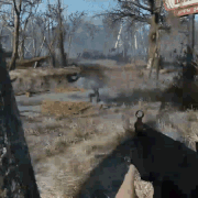 gif5