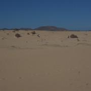 DSCF8570