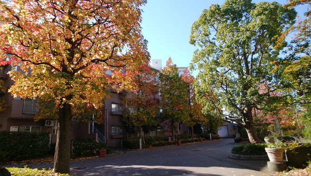 IMG-20221117-104052