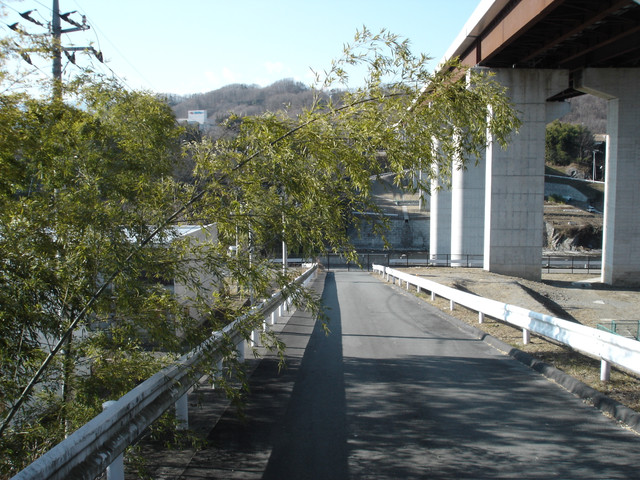 2012-01-09-018