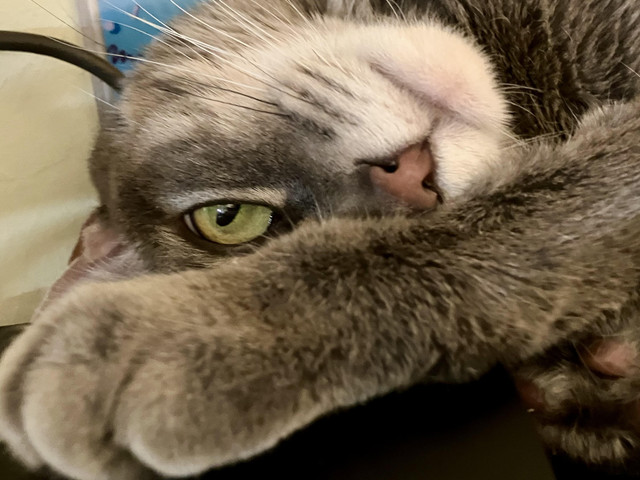 tiki