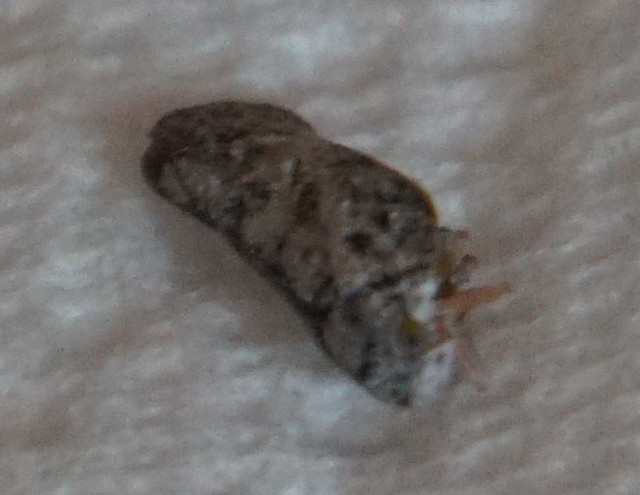 DSC06503 v2