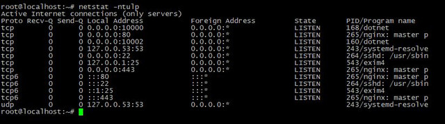 netstat