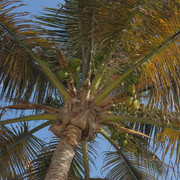 DSCF8243