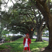 IMG 7596